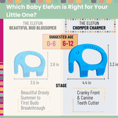 Blue Elephant Teether for Babies Age 6 to 18 Months